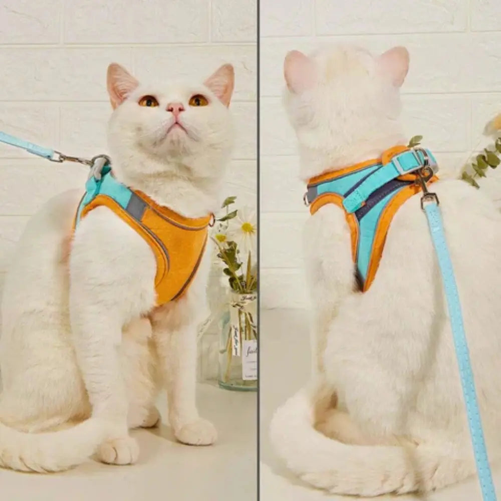 Pettorina da Passeggio per Gatto
