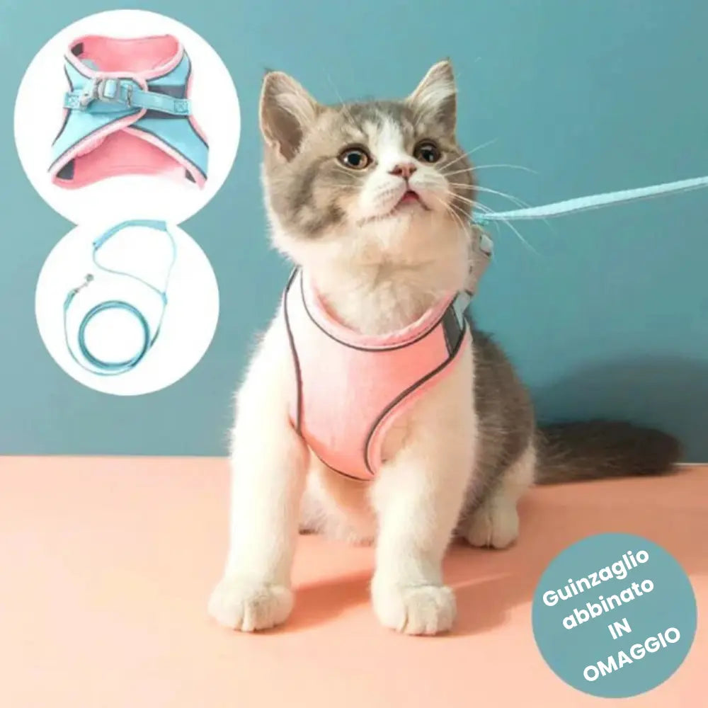 Pettorina da Passeggio per Gatto