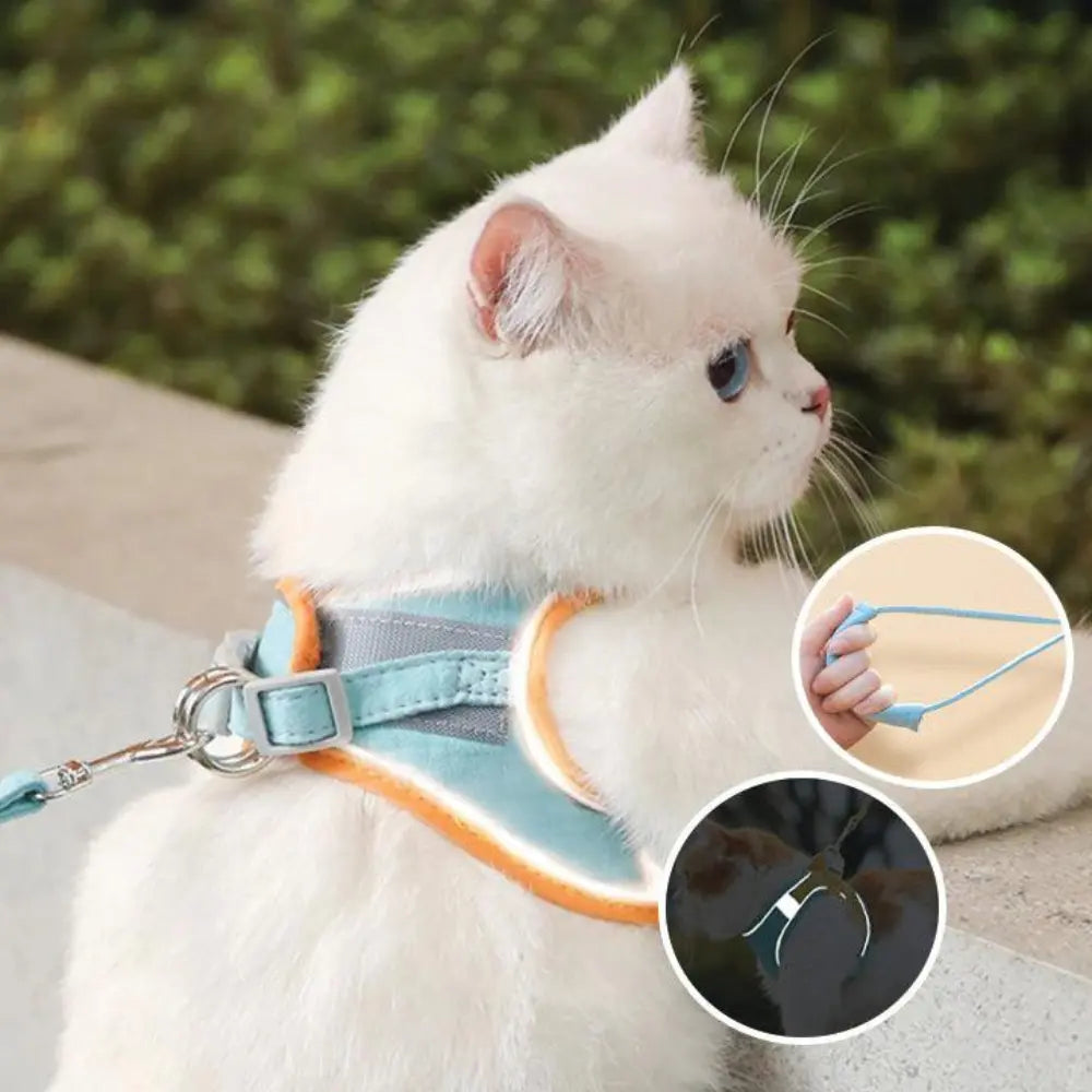 Pettorina da Passeggio per Gatto