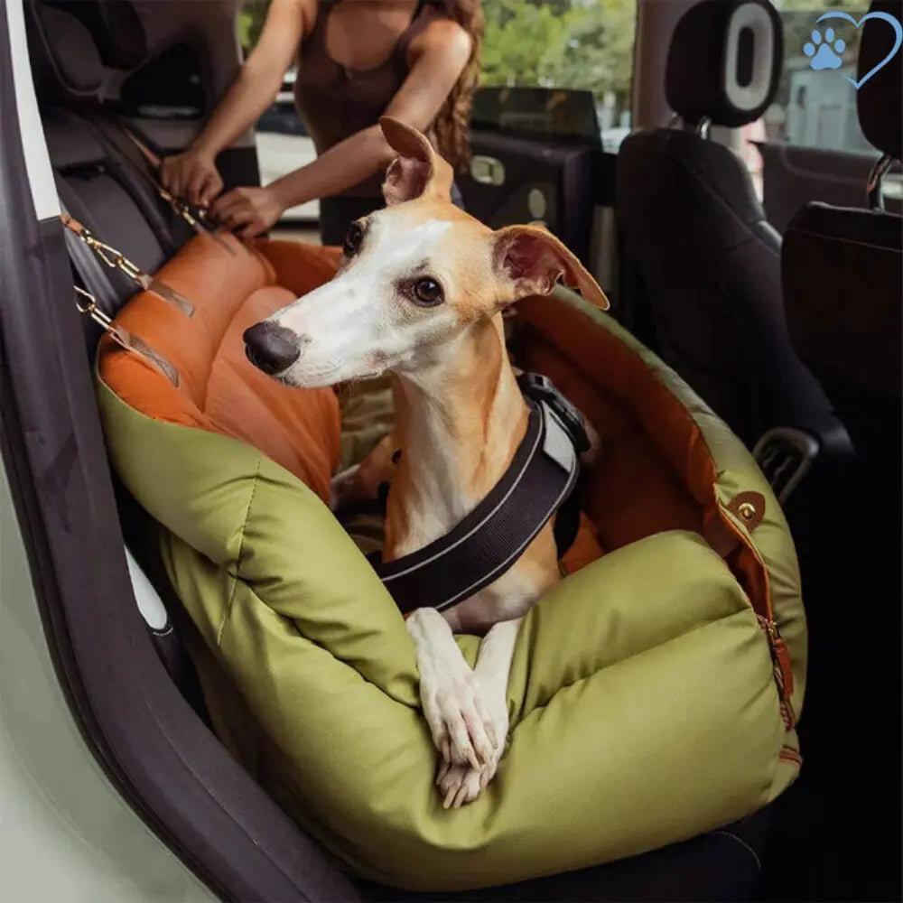 Seggiolino Auto Confortevole per Cani