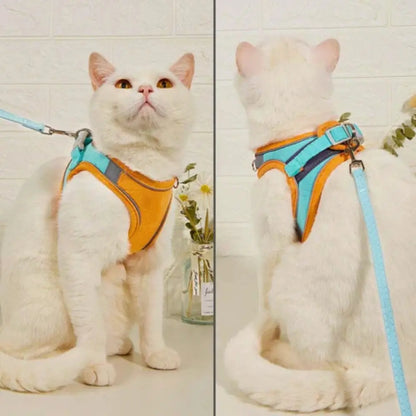 Pettorina da Passeggio per Gatto