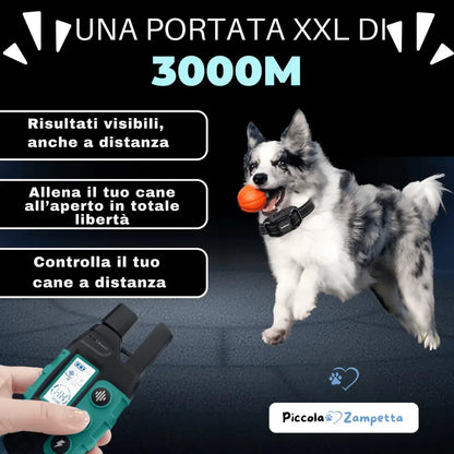 Collare di Addestramento per Cani