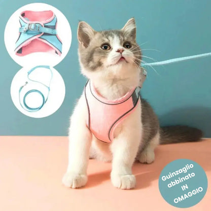 Pettorina da Passeggio per Gatto