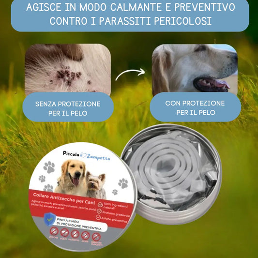 Collare Antizecche per Cani