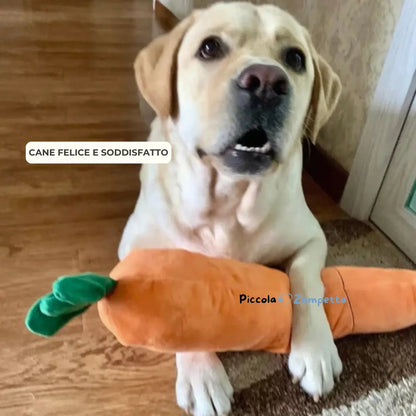 Carota Calmante per Cani