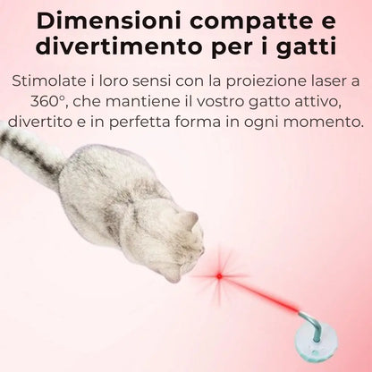 Trottola Laser per Gatti