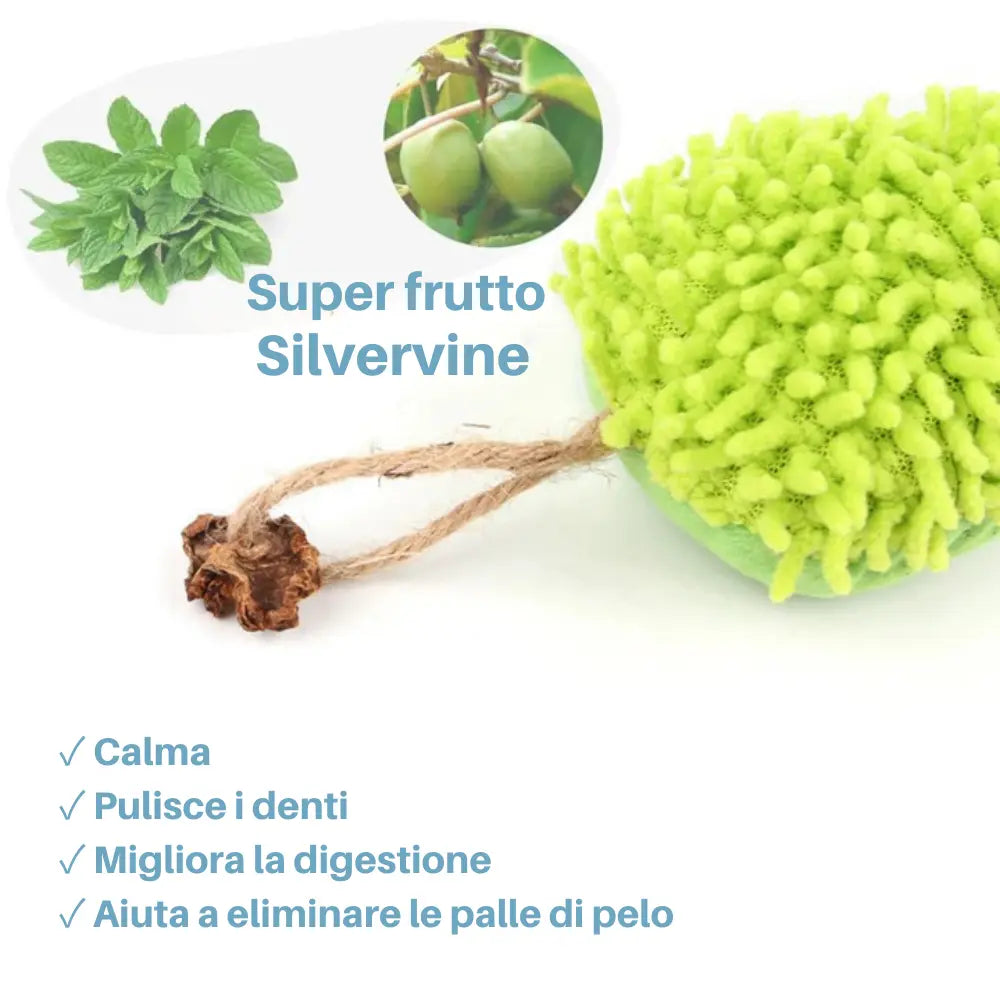 Giocattolo in Peluche con Erba Gatta