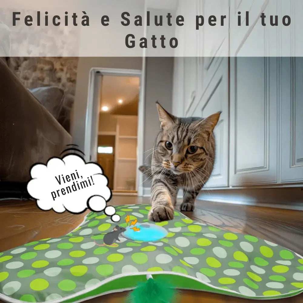 Gioco di Caccia Intelligente per Gatti