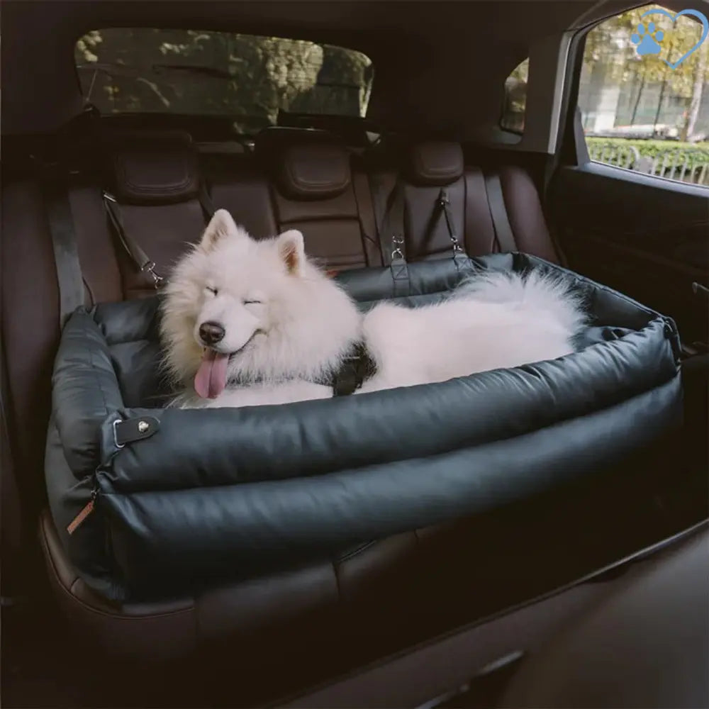 Seggiolino Auto Confortevole per Cani