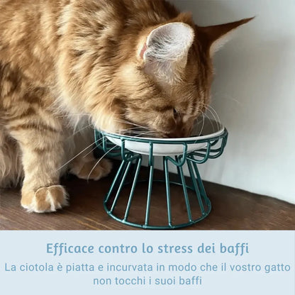 Ciotola Ergonomica per Gatti