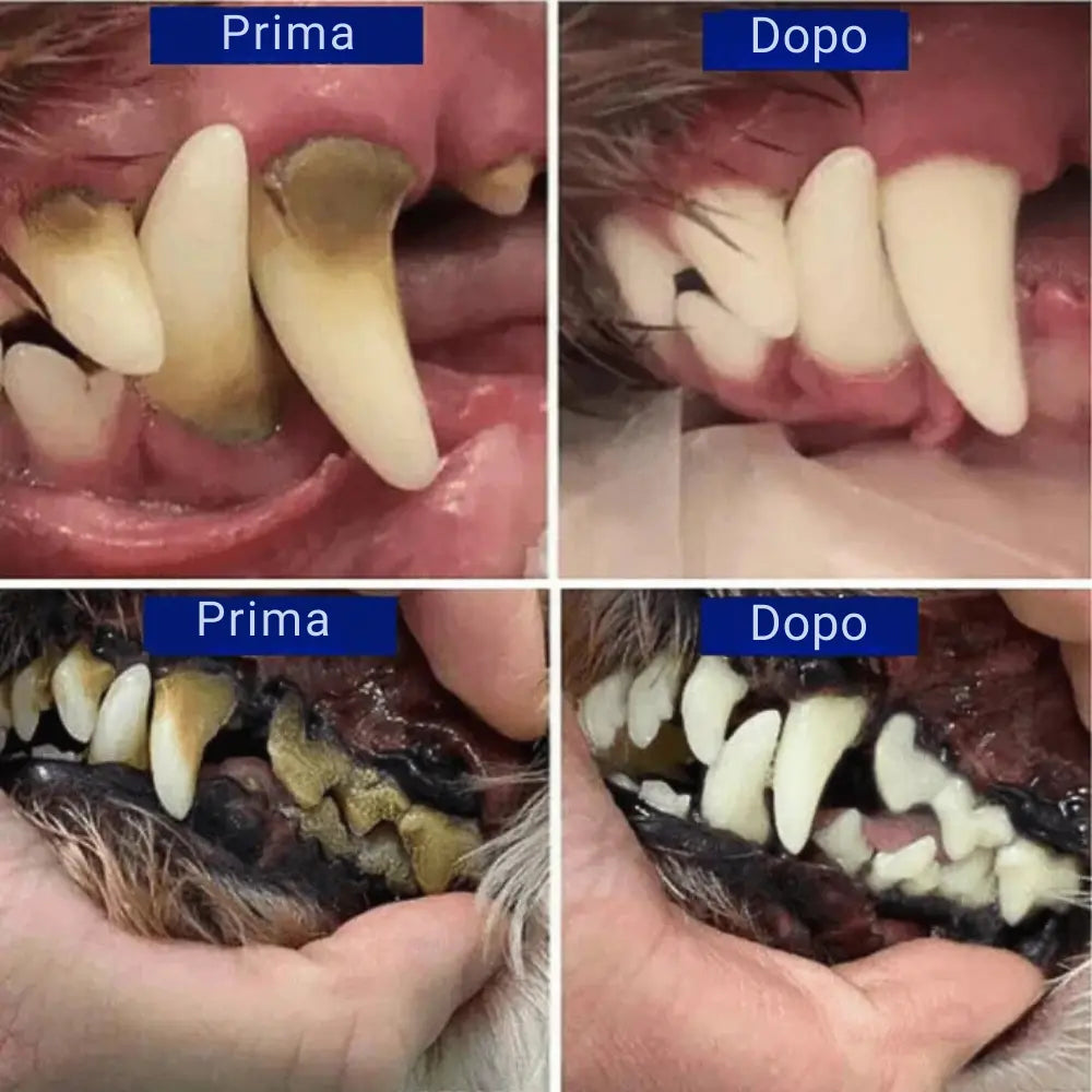 Set di Decalcificazione per Cani