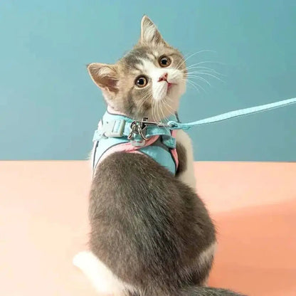 Pettorina da Passeggio per Gatto
