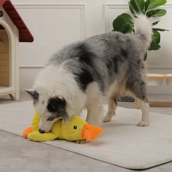 Peluche di Supporto Emotivo per Cani