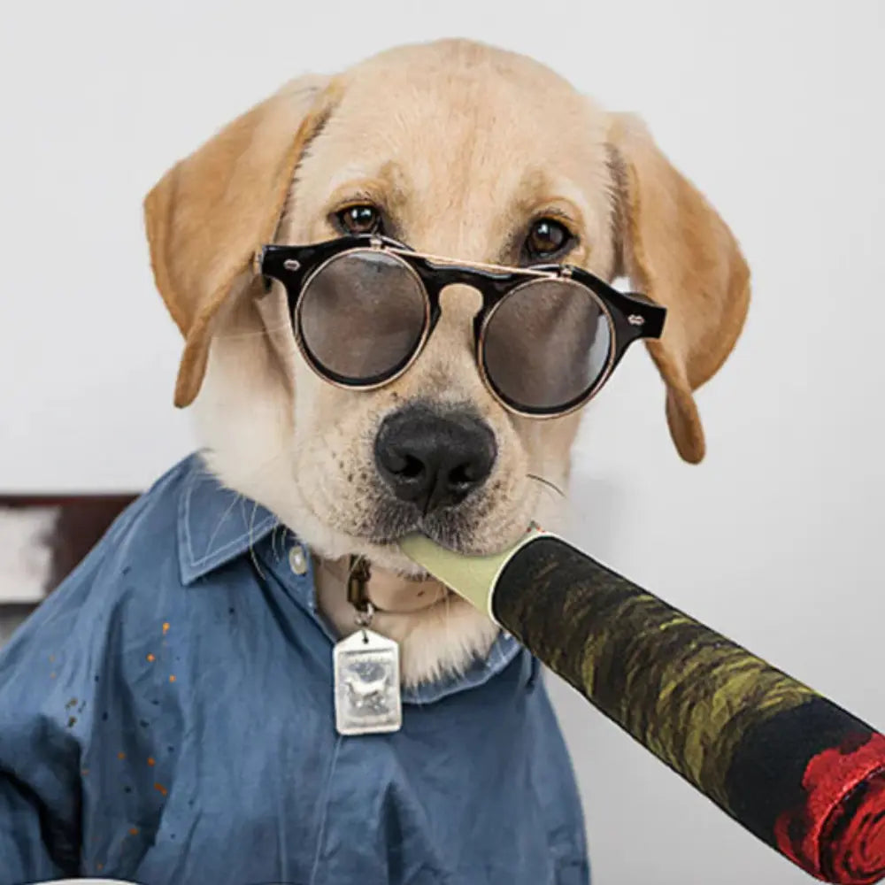 Cigarette in Peluche Morbida per Cani