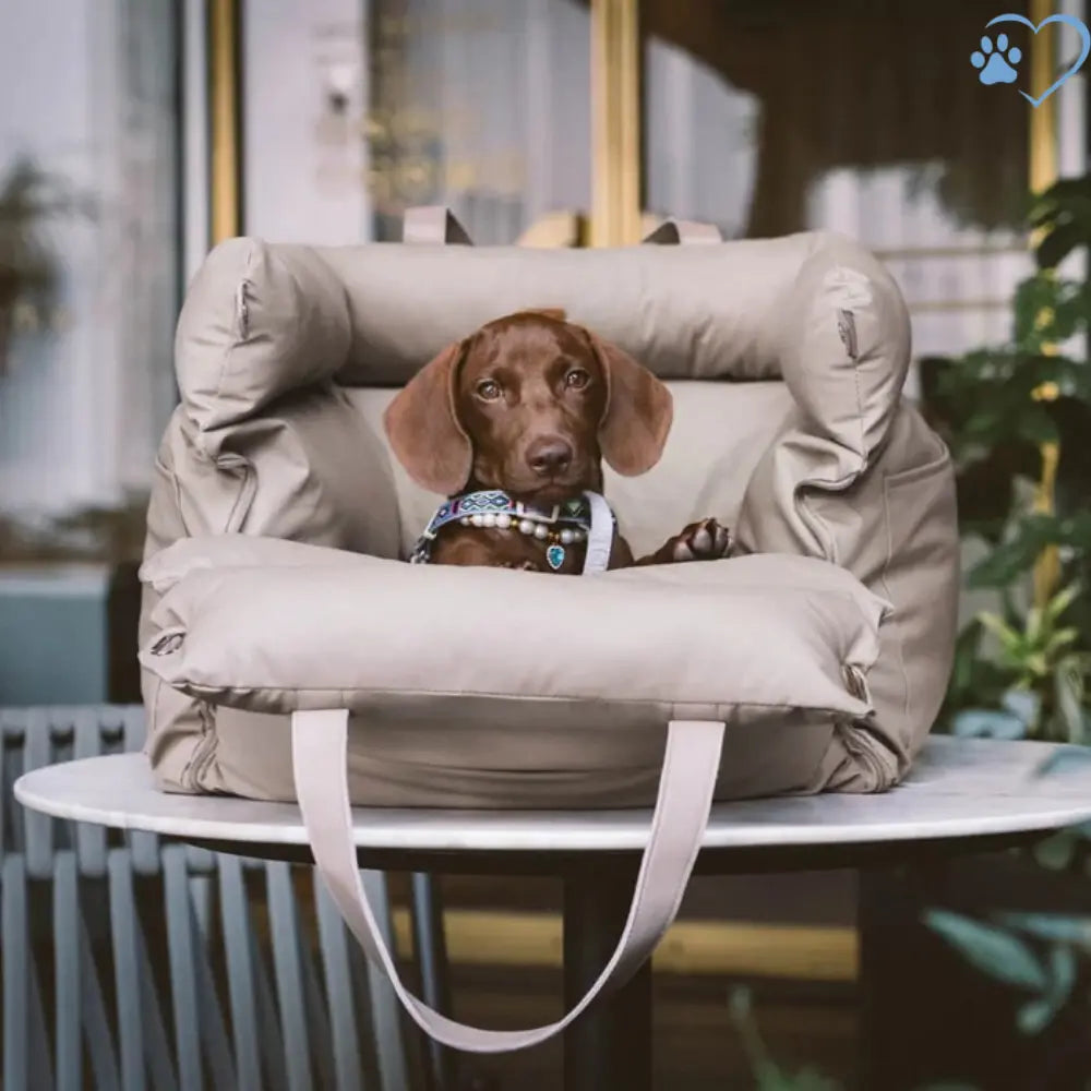 Seggiolino Auto Confortevole per Cani