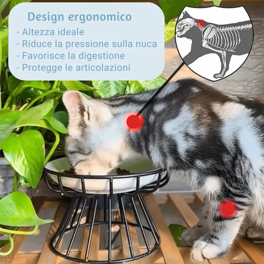 Ciotola Ergonomica per Gatti