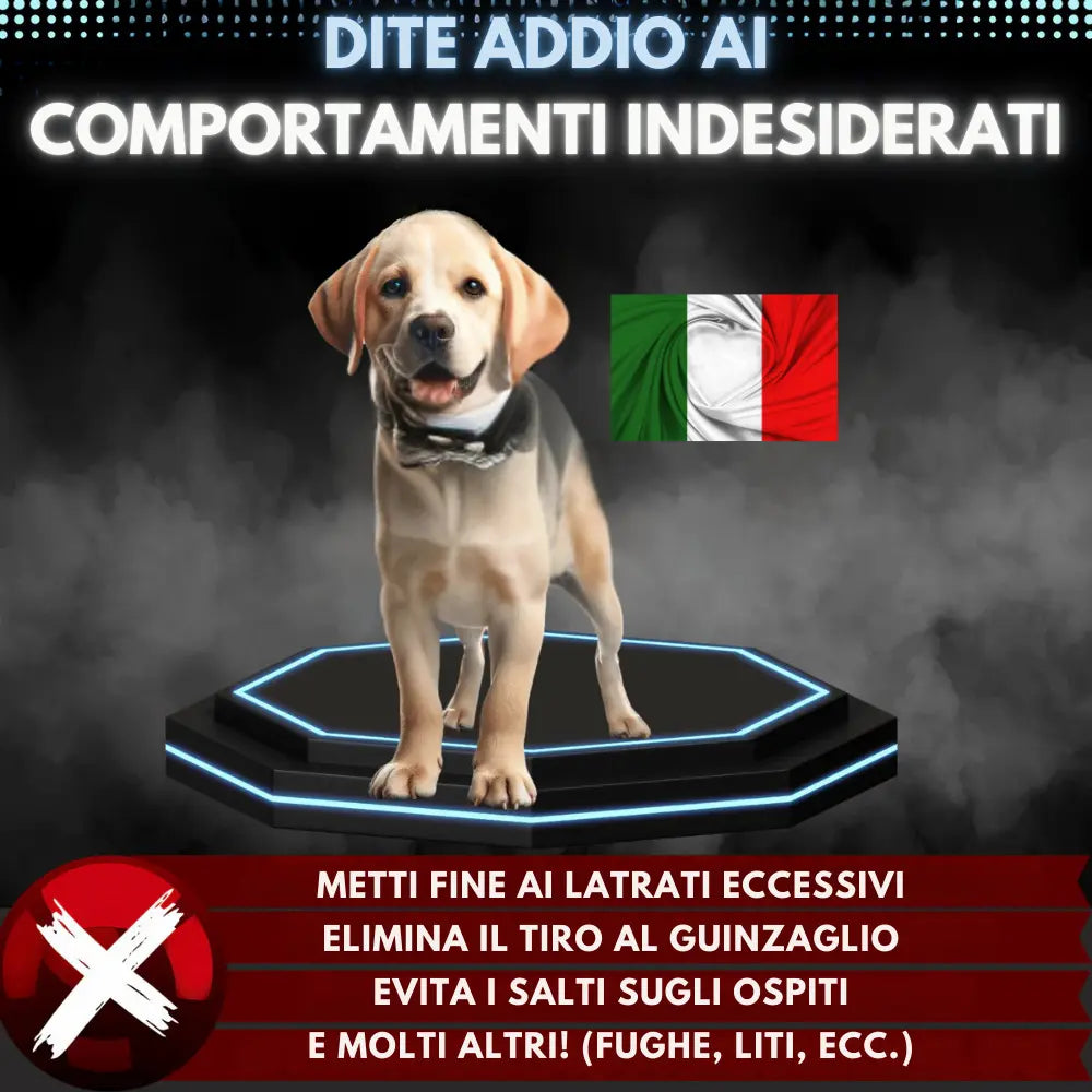 Collare Educazione per Cani