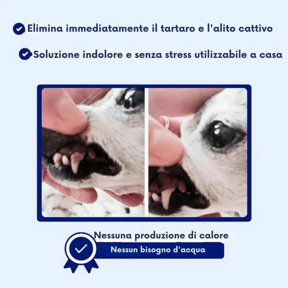 Set di Decalcificazione per Cani