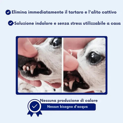 Set di Decalcificazione per Cani