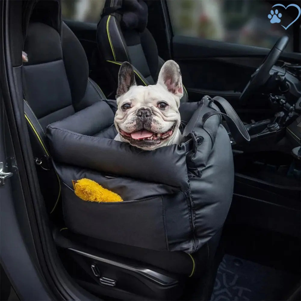 Seggiolino Auto Confortevole per Cani