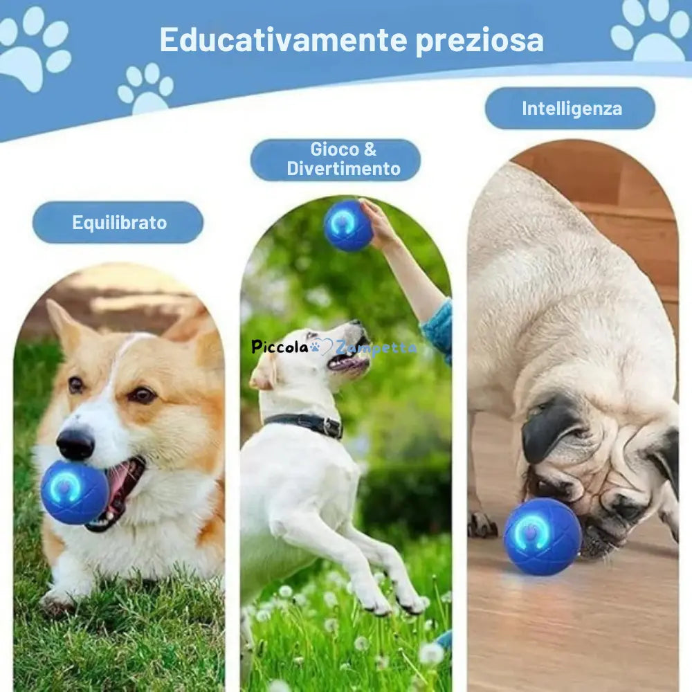 Palla Interattiva Automatica per Cani