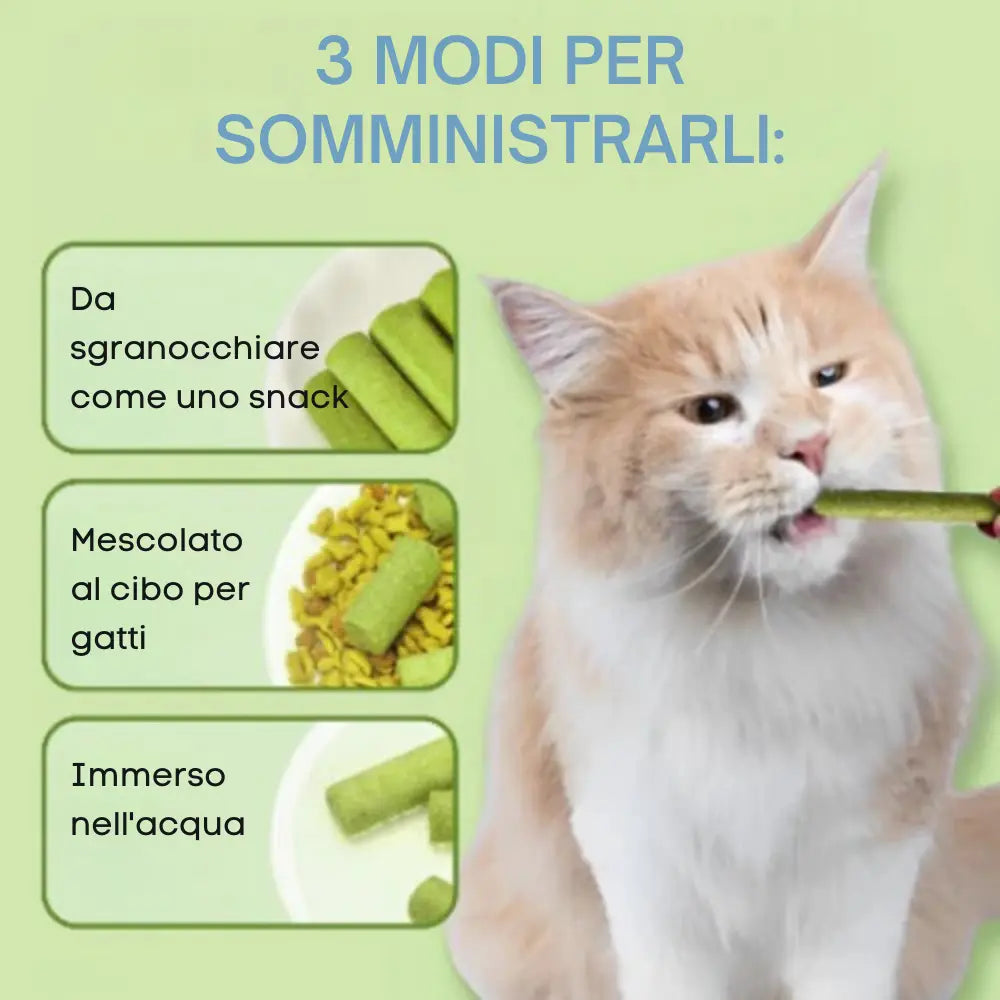 Snack Dentale e Digestivo per Gatti