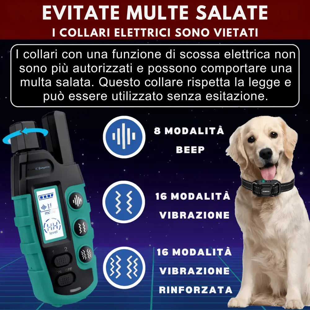 Collare di Addestramento per Cani