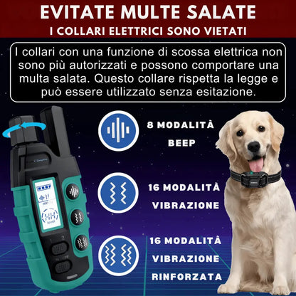 Collare di Addestramento per Cani