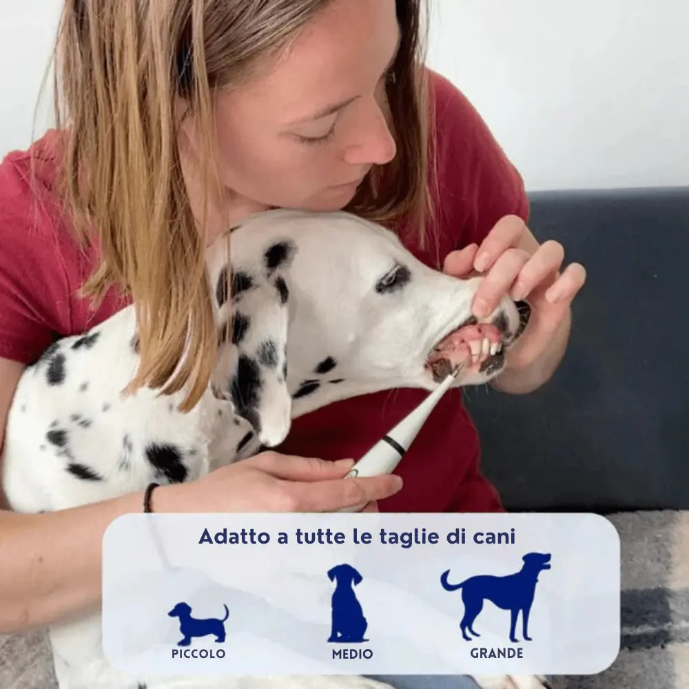 Set di Decalcificazione per Cani