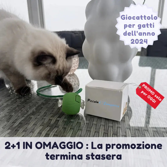 Giocattolo Interattivo per Gatti