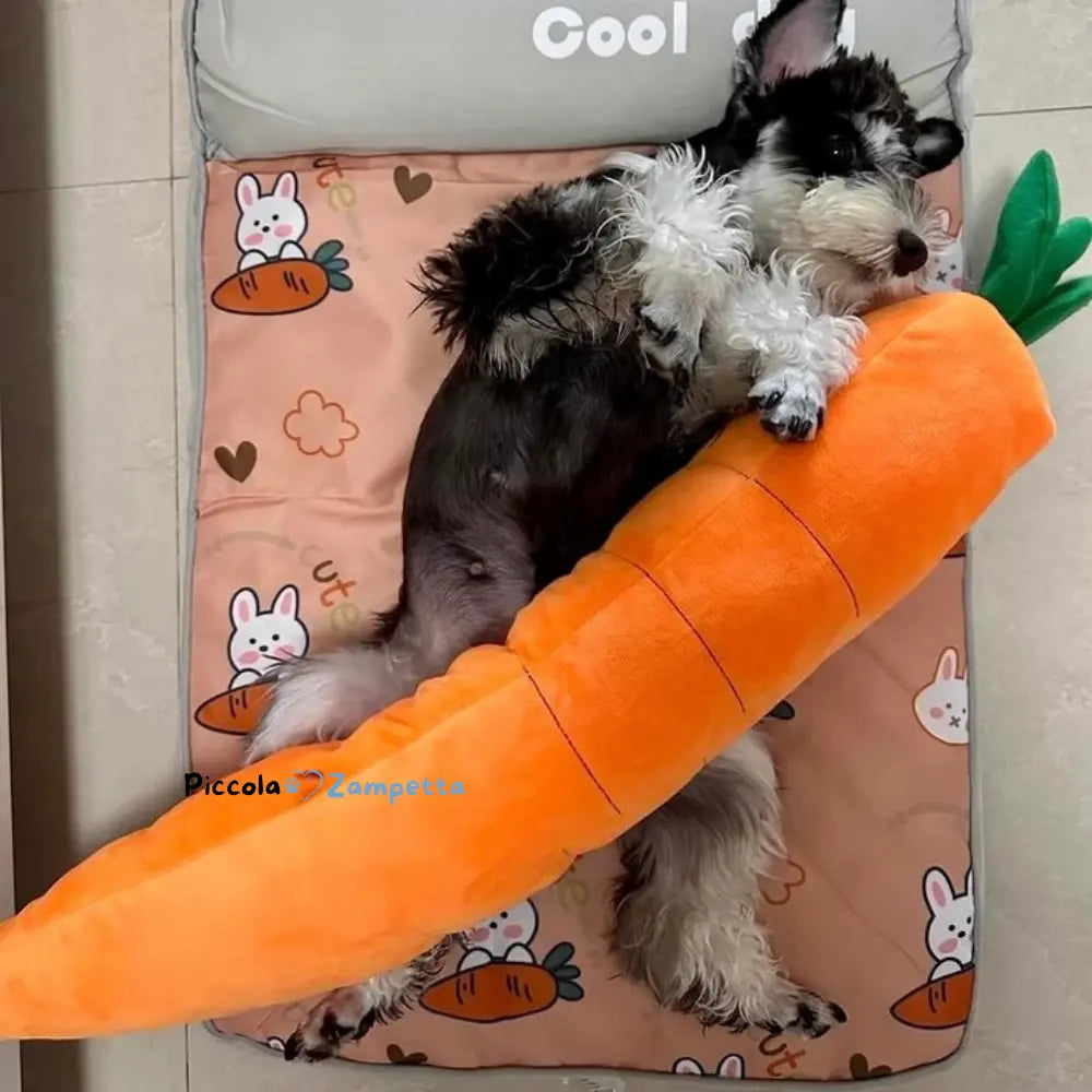 Carota Calmante per Cani