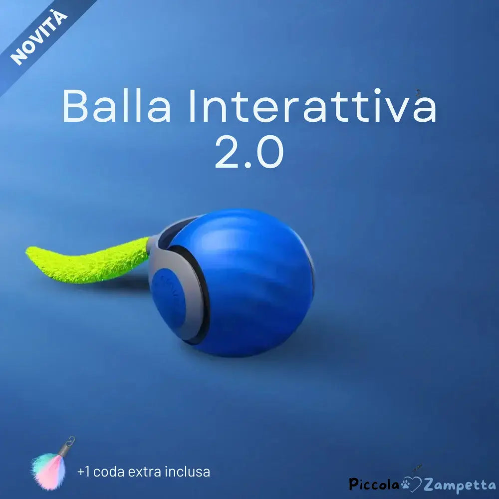 Balla Interattiva 2.0 per Felini