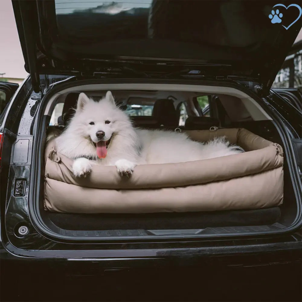 Seggiolino Auto Confortevole per Cani