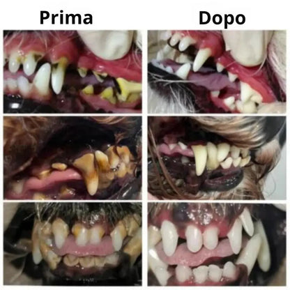 Gel Dentale Professionale per Animali