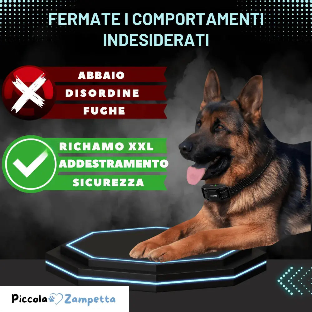 Collare di Addestramento per Cani