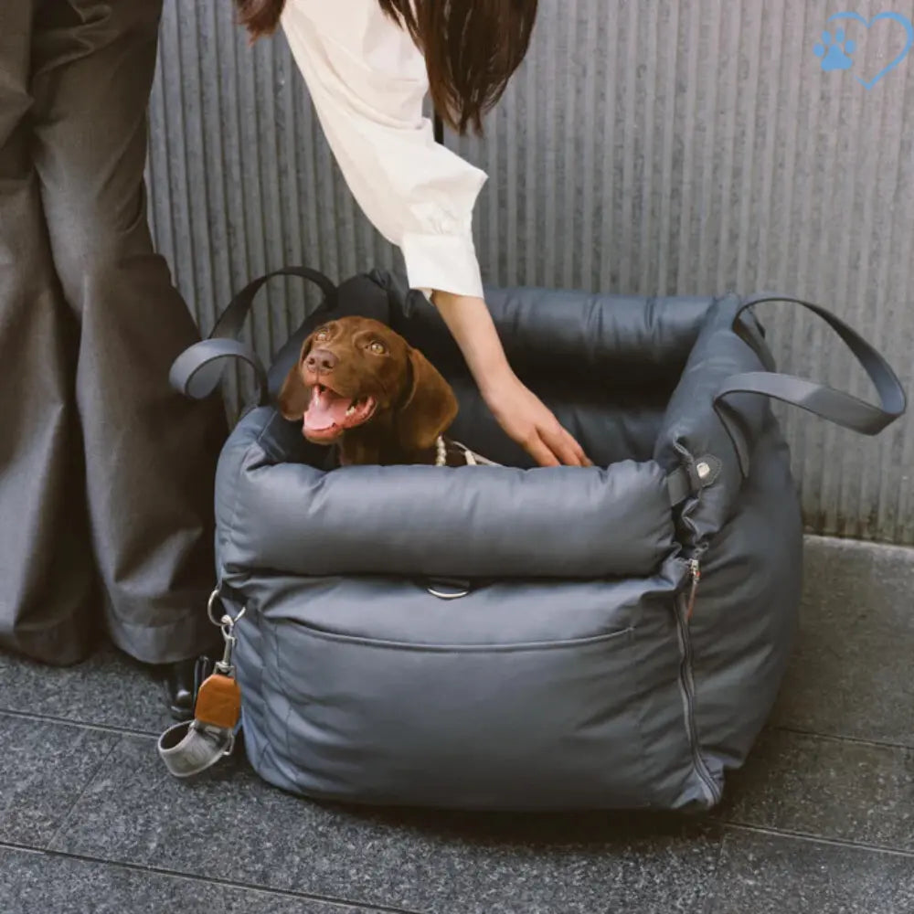 Seggiolino Auto Confortevole per Cani