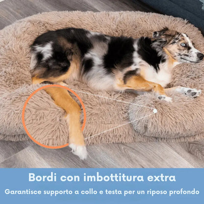 Cuscino Ortopedico - DoggyDream